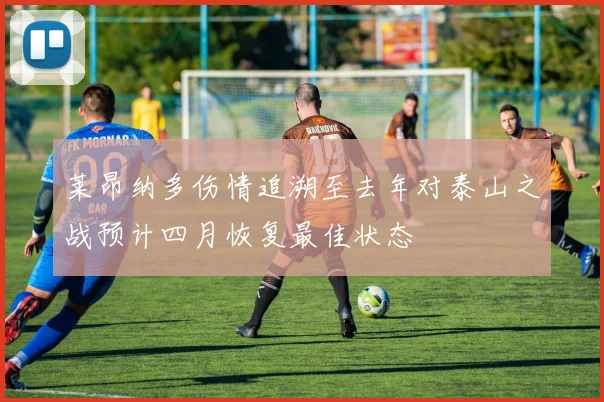 莱昂纳多伤情追溯至去年对泰山之战预计四月恢复最佳状态